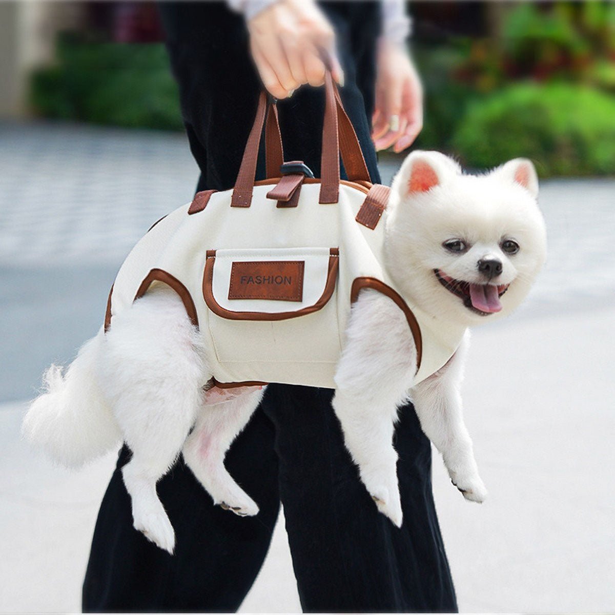Portable Pet Travel Bag – Breathable Dog & Cat Carrier