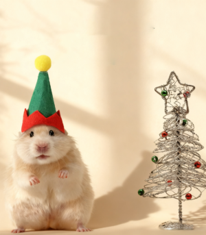 Funny Christmas Hat for Hamster & Chinchilla