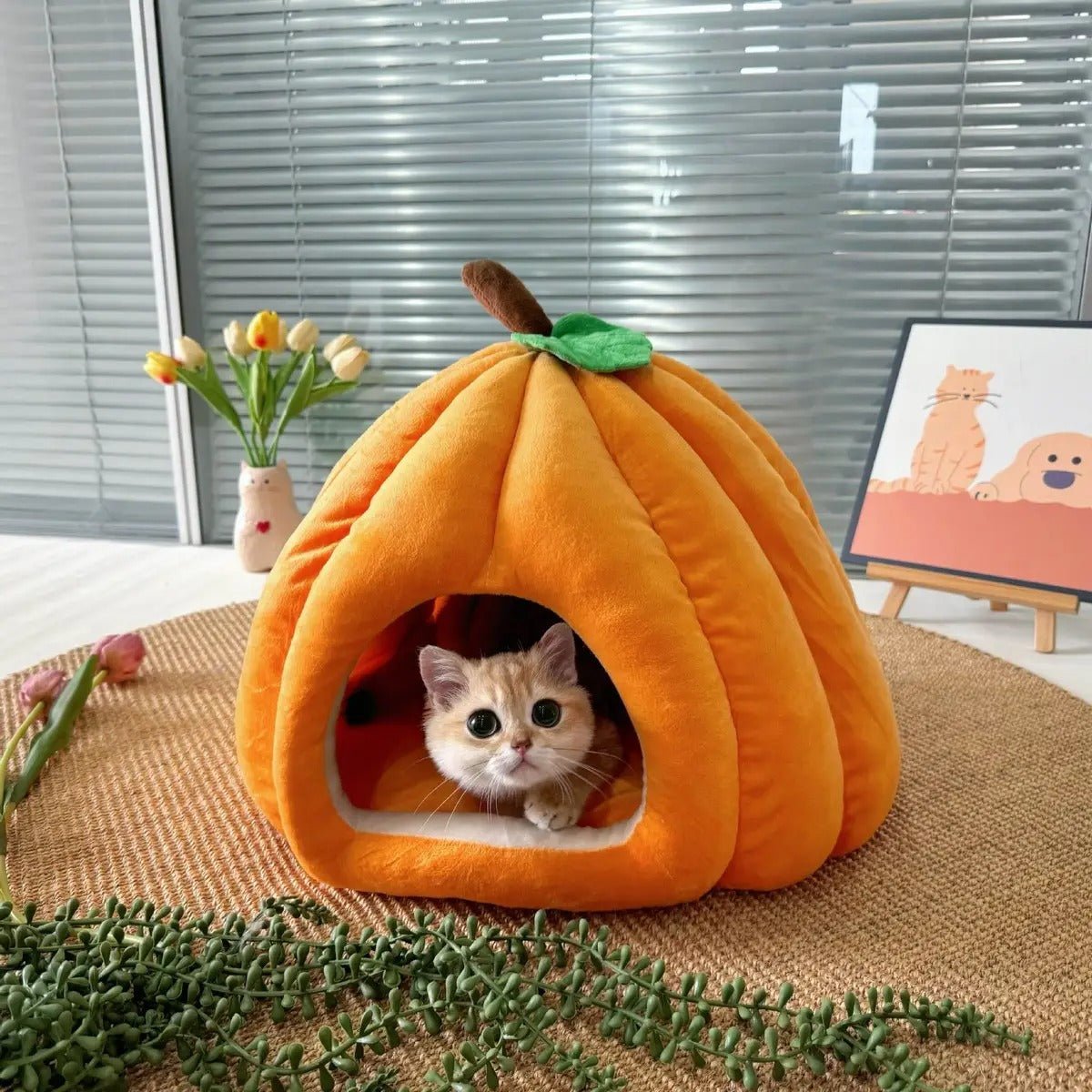 Cozy Pumpkin Pet Cave Bed Winter Plush Washable
