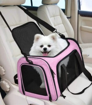Collapsible Pet Travel Tote for 2 Small Pets